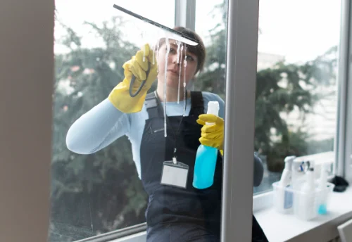 Nettoyage de vitres intérieures et extérieures au Reposoir
